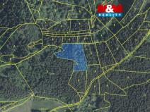 Prodej lesa, Lužná, 5438 m2