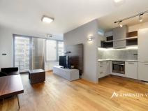 Pronájem bytu 1+kk, Brno, Kopečná, 37 m2