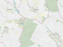 Dražba lesa, Loukovice, 7796 m2