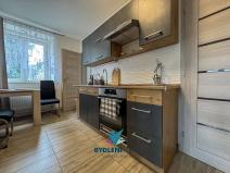 Prodej bytu 1+1, Tisá, 43 m2