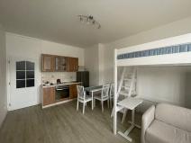 Pronájem bytu 1+kk, Praha - Žižkov, Jana Želivského, 27 m2