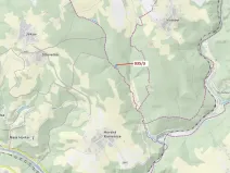 Dražba lesa, Jílové u Držkova, 2349 m2