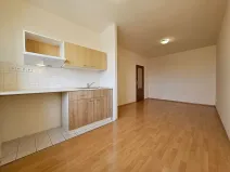 Pronájem bytu 1+kk, Brno, Svitavské nábřeží, 24 m2