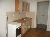 Pronájem bytu 1+1, Teplice, U Hadích lázní, 44 m2