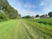 Dražba louky, Maleč, 6901 m2