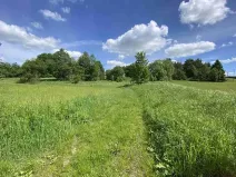 Dražba pozemku, Slavonice, 1831 m2