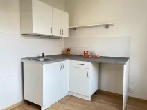 Pronájem bytu 1+1, Litvínov, Podkrušnohorská, 30 m2