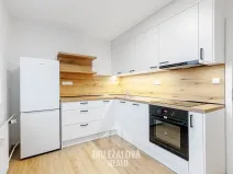 Pronájem bytu 1+1, Malý Beranov, 46 m2