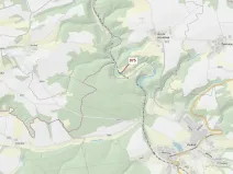 Dražba lesa, Plasy, 1287 m2