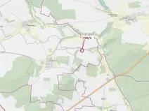 Dražba lesa, Osek, 301 m2