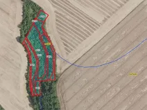 Prodej lesa, Mečeříž, 10300 m2