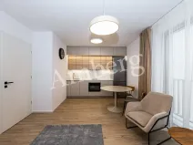 Pronájem bytu 1+kk, Praha - Karlín, Křižíkova, 32 m2