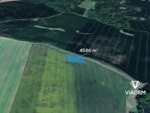 Prodej podílu pole, Jaroměřice nad Rokytnou, 2293 m2