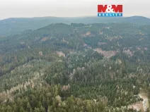 Prodej lesa, Hůrky, 6294 m2