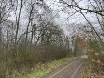 Prodej lesa, Městečko Trnávka - Lázy, 856 m2