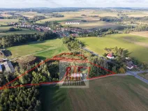 Prodej lesa, Sazomín, 11295 m2