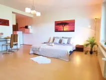 Pronájem bytu 1+kk, Brno, Šemberova, 48 m2