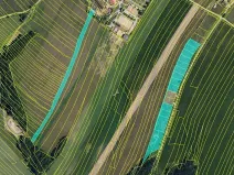 Prodej pole, Maršov, 31902 m2