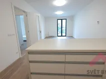 Pronájem bytu 2+kk, Praha - Žižkov, Hartigova, 67 m2