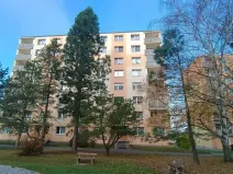 Pronájem bytu 1+kk, Plzeň, Na Dlouhých, 20 m2