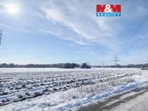 Prodej pole, Všestudy, 1578 m2