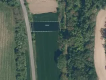 Prodej pole, Ořechov, 7754 m2