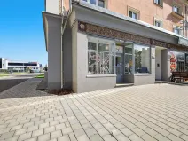 Pronájem obchodního prostoru, Holešov, U Letiště, 55 m2