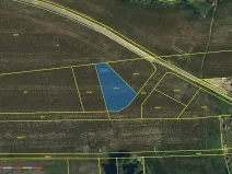 Dražba pole, Staré Město, 1127 m2