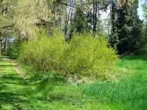 Prodej pozemku, Praha - Kolovraty, 60000 m2