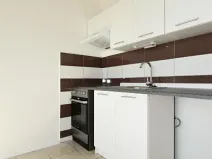 Pronájem bytu 1+1, Chomutov, Hutnická, 39 m2