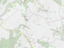 Dražba lesa, Přemyslovice, 7049 m2