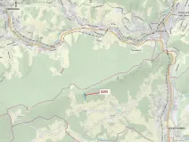 Dražba lesa, Velké Hamry, 6125 m2