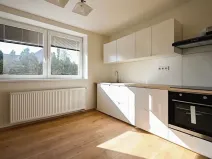 Pronájem bytu 2+1, Bučovice, Rybničná, 57 m2