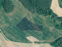 Prodej pole, Kralovice, 11359 m2