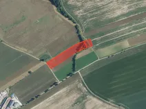 Prodej louky, Bílá Třemešná, 13769 m2