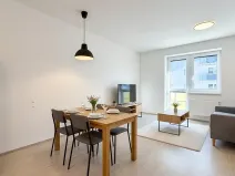 Pronájem bytu 2+kk, Brno, Hlinecká, 52 m2