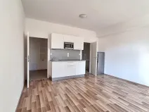 Pronájem bytu 1+kk, Praha - Bubeneč, U zeměpisného ústavu, 26 m2