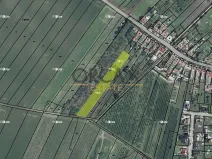 Prodej podílu pole, Moravský Žižkov, 1898 m2