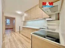 Prodej bytu 3+1, Ostrava - Mariánské Hory, Daliborova, 150 m2