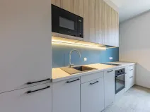 Pronájem bytu 2+kk, Praha - Nusle, Svatoslavova, 36 m2