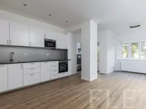 Pronájem bytu 1+kk, Praha - Žižkov, Biskupcova, 38 m2