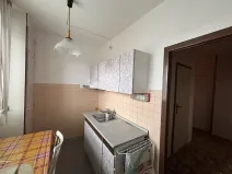 Prodej bytu 1+1, Liberec, Sametová, 40 m2