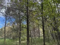 Prodej pole, Bohumín, 4224 m2