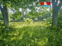 Prodej louky, Hradec Králové - Pražské Předměstí, 1878 m2