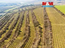 Prodej pole, Morkůvky, 2424 m2