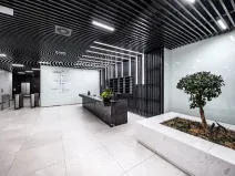 Pronájem kanceláře, Praha - Karlín, Křižíkova, 488 m2