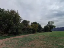 Dražba lesa, Všeň, 10110 m2