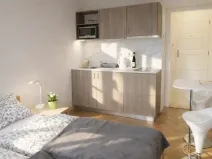 Pronájem bytu 1+kk, Praha - Žižkov, Fibichova, 25 m2