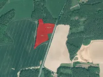 Prodej lesa, Luženičky, 15277 m2