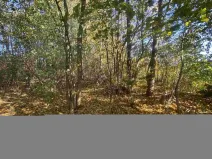 Prodej pozemku, Zdislava, 1043 m2